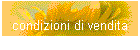 condizioni di vendita