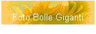 Foto Bolle Giganti