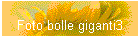 Foto bolle giganti3